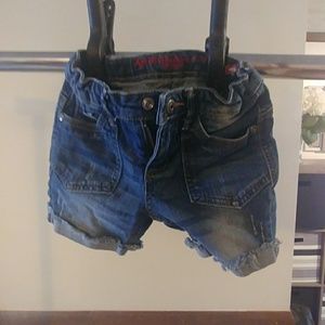 Arizona size 6t jean shorts